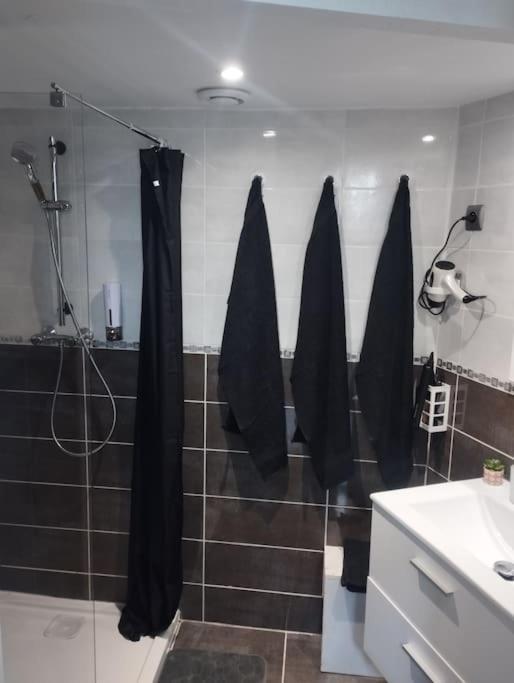 Appartement Coeur De Ville! Foix Exteriör bild