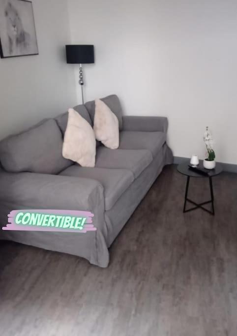 Appartement Coeur De Ville! Foix Exteriör bild